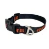 Grundens - Dog Collar(Grundens Dog Collar)
