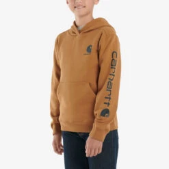 Carhartt Kids Boys Long Sleeve Graphic Sweatshirt(Carhartt Kids Boys Long Sleeve Graphic Sweatshirt)